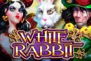 White Rabbit
